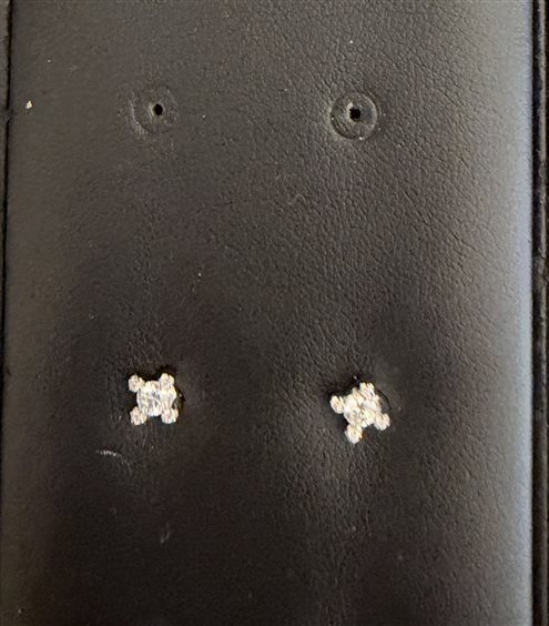 Orecchini Polello Donna in Oro bianco Diamante 0.24 Ct E2968OB1 - E2968OB1